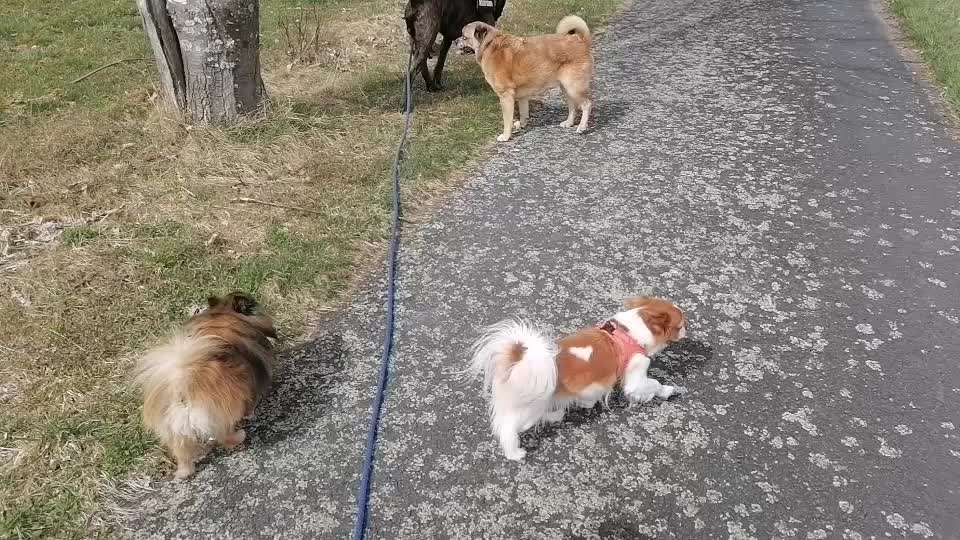 Erzählt eure Erfolgsstorys!-Beitrag-Bild