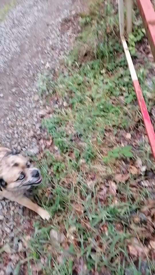 Hoopers unser Sport-Beitrag-Bild