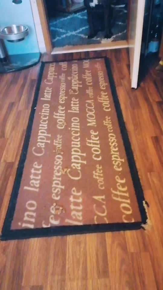 Impulskontrolle-Challenge Nr. 2: Vorbei laufen-Beitrag-Bild