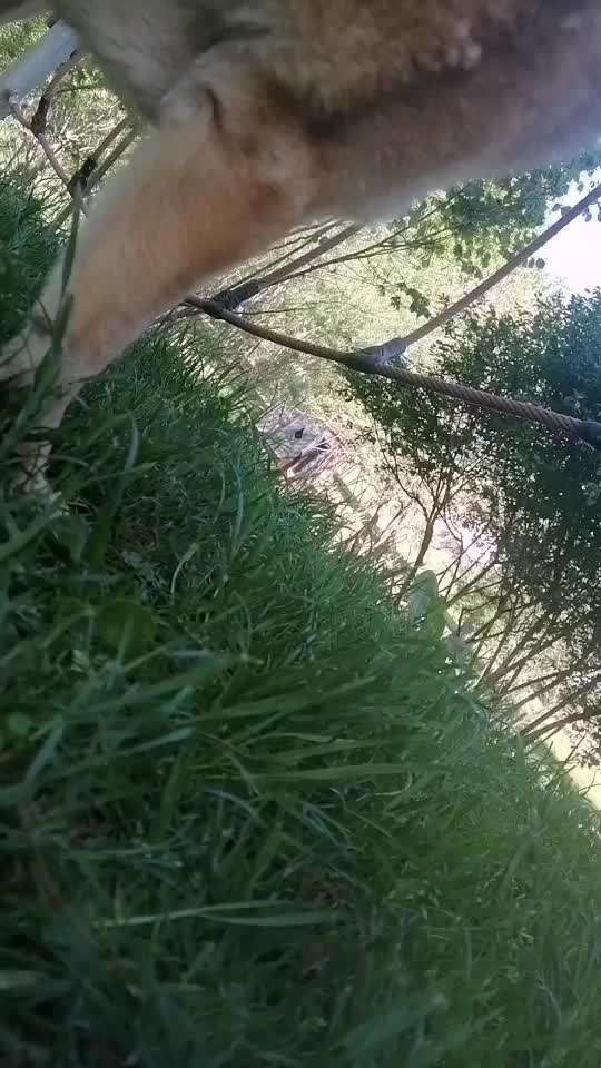 Hoopers unser Sport-Beitrag-Bild