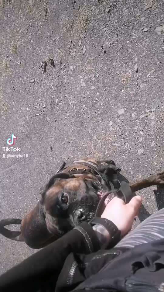 Erzählt eure Erfolgsstorys!-Beitrag-Bild