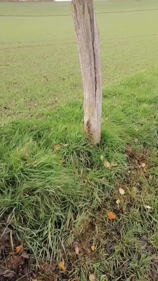 Trick Challenge Nr.5-Beitrag-Bild