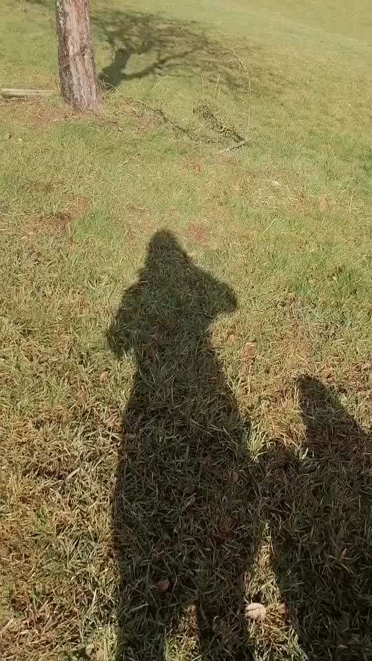 Trick Challenge Nr.5-Beitrag-Bild