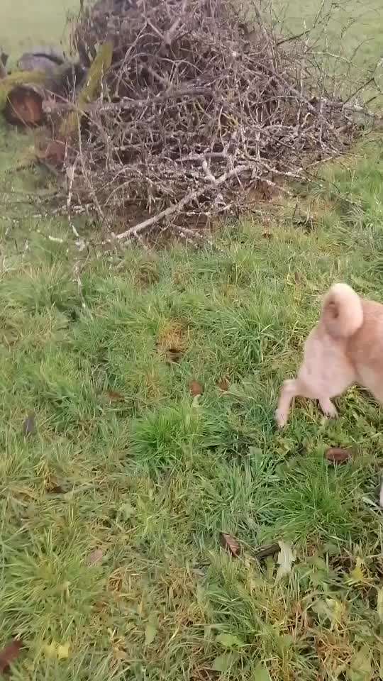 Trick Challenge Nr.5-Beitrag-Bild