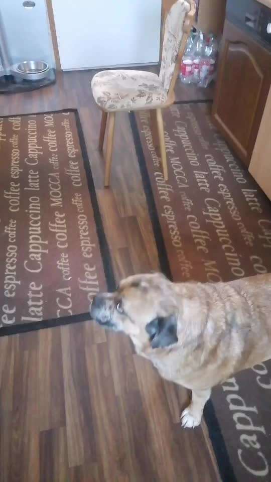 Trick Challenge Nr. 7-Beitrag-Bild