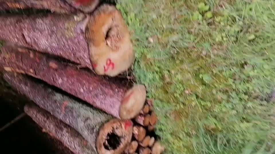 Hoopers unser Sport-Beitrag-Bild