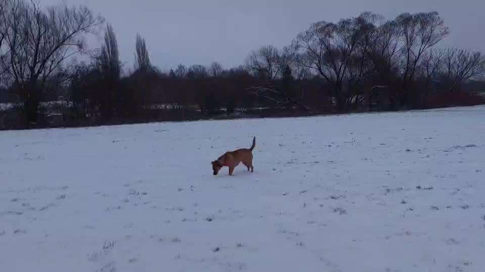 Was hat euch heute genervt?-Beitrag-Bild