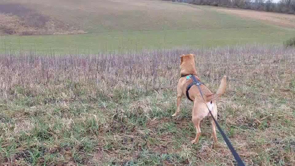 "Wege zur Freundschaft" (Ulli Reichmann)-Beitrag-Bild