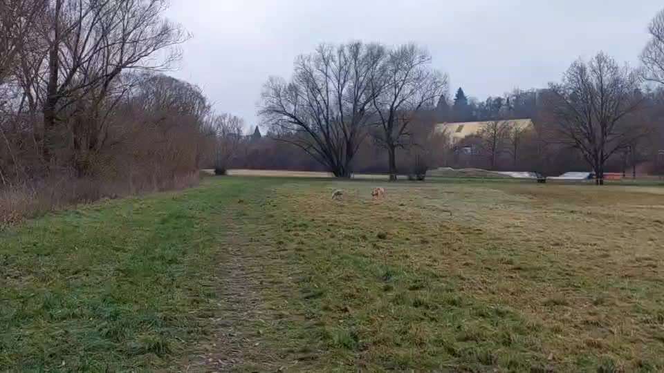 "Wege zur Freundschaft" (Ulli Reichmann)-Beitrag-Bild