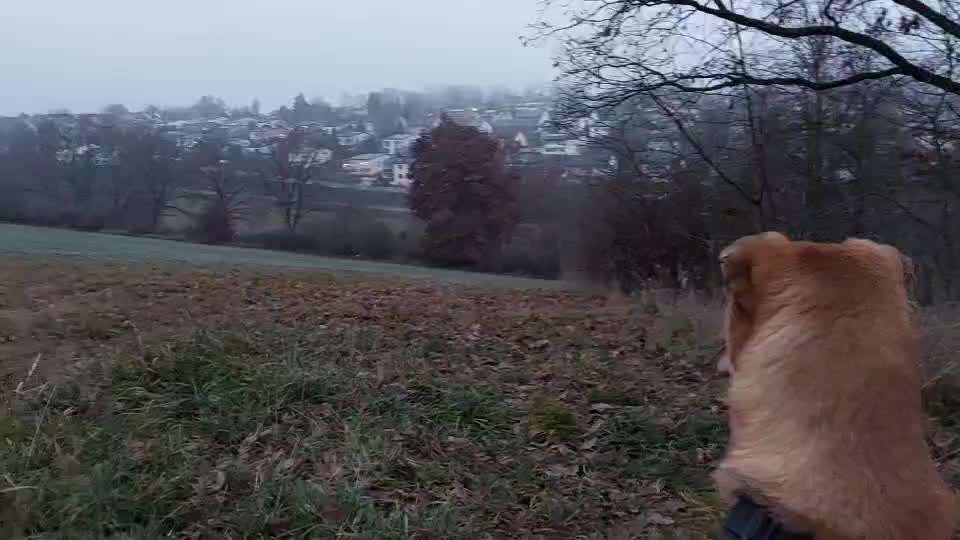 "Wege zur Freundschaft" (Ulli Reichmann)-Beitrag-Bild