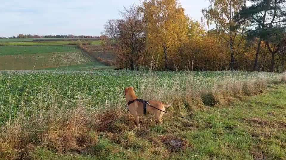 "Wege zur Freundschaft" (Ulli Reichmann)-Beitrag-Bild