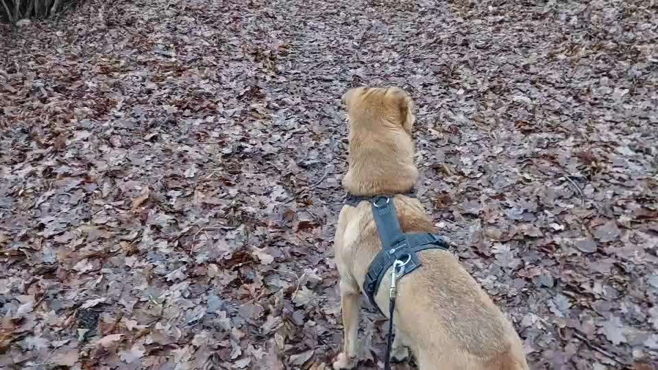 "Wege zur Freundschaft" (Ulli Reichmann)-Beitrag-Bild