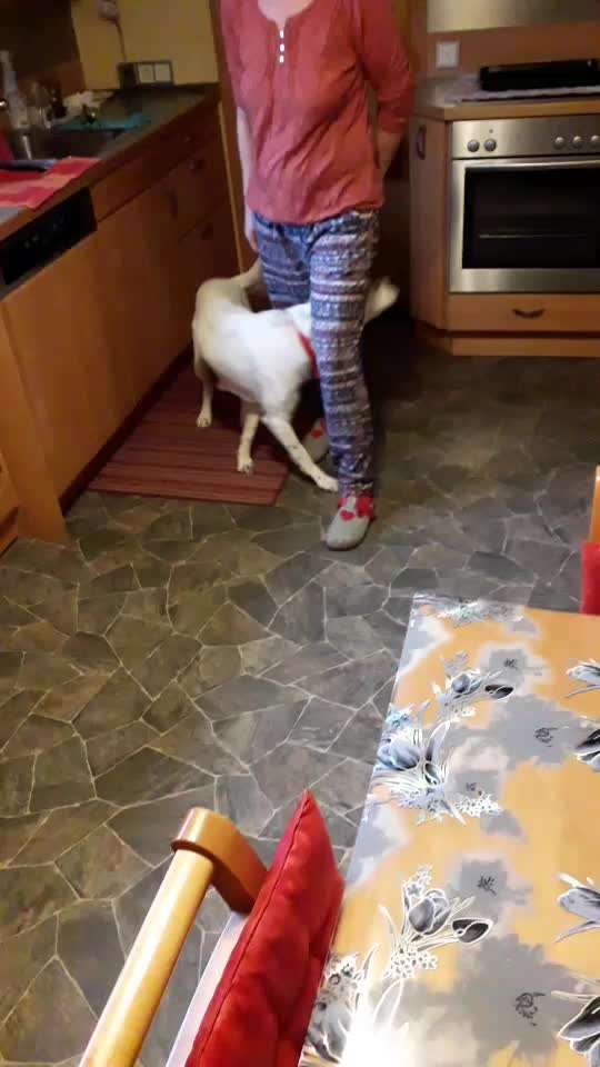 Trick Challenge Nr 6-Beitrag-Bild