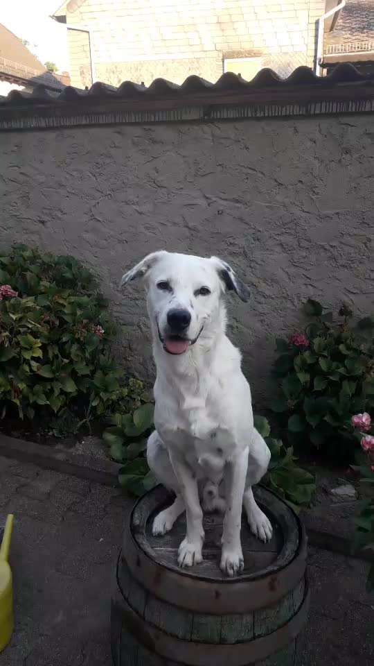 Trick Challenge Nr. 16-Beitrag-Bild