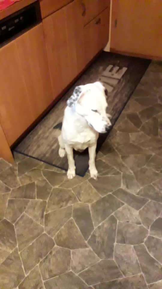 Trick Challange Nr 3-Beitrag-Bild