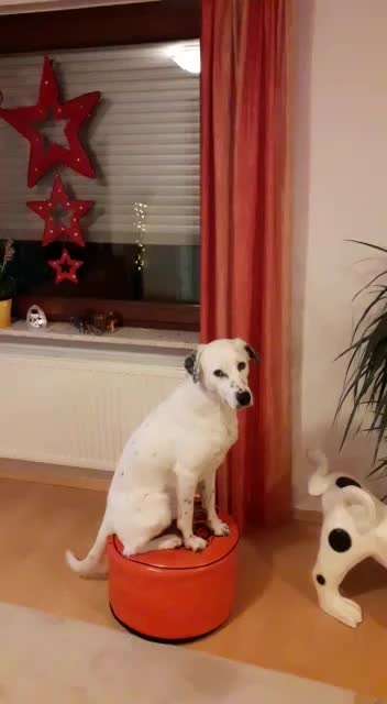 Kunststücke-Beitrag-Bild