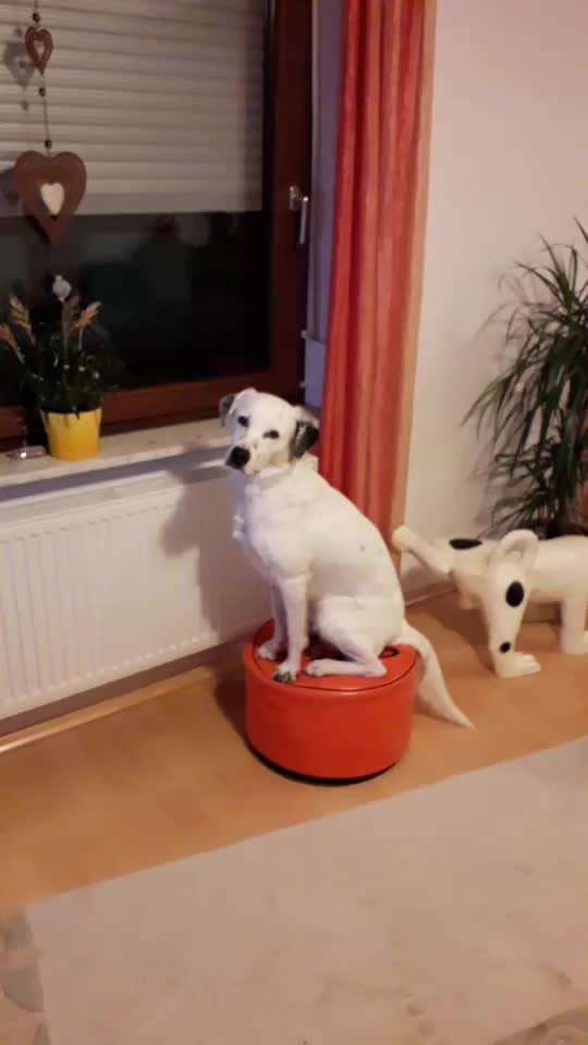 𝕋ℝ𝕀ℂ𝕂 ℂℍ𝔸𝕃𝕃𝔼ℕ𝔾𝔼 ℕℝ. 𝟚-Beitrag-Bild