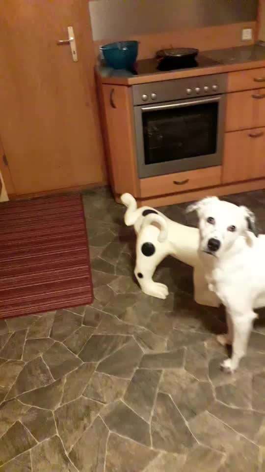 Trick Challenge Nr.5-Beitrag-Bild