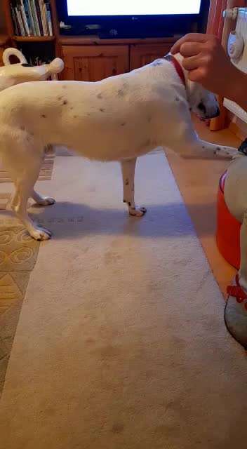 Trick Challenge Nr. 8-Beitrag-Bild