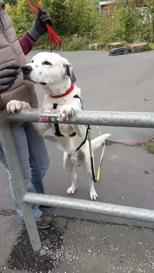 Trick Challenge Nr. 18-Beitrag-Bild