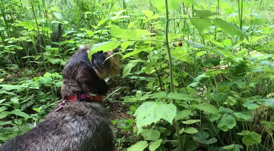 Lieblingsbild-Beitrag-Bild