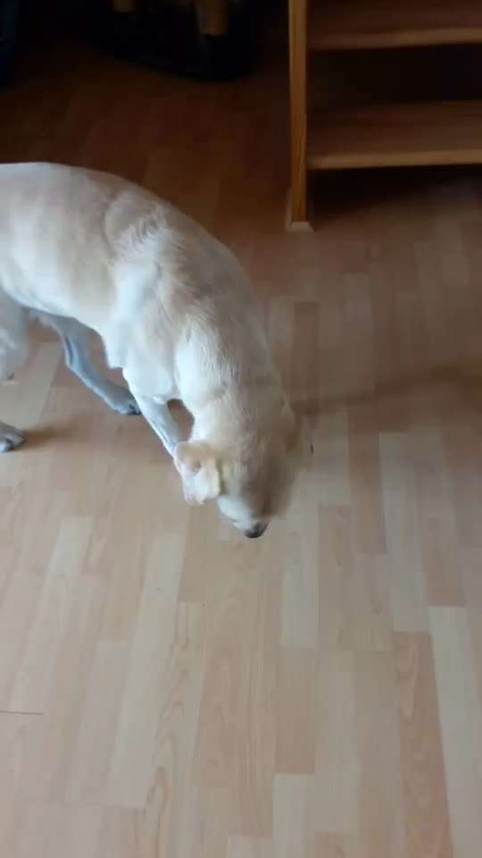 Husten?-Beitrag-Bild