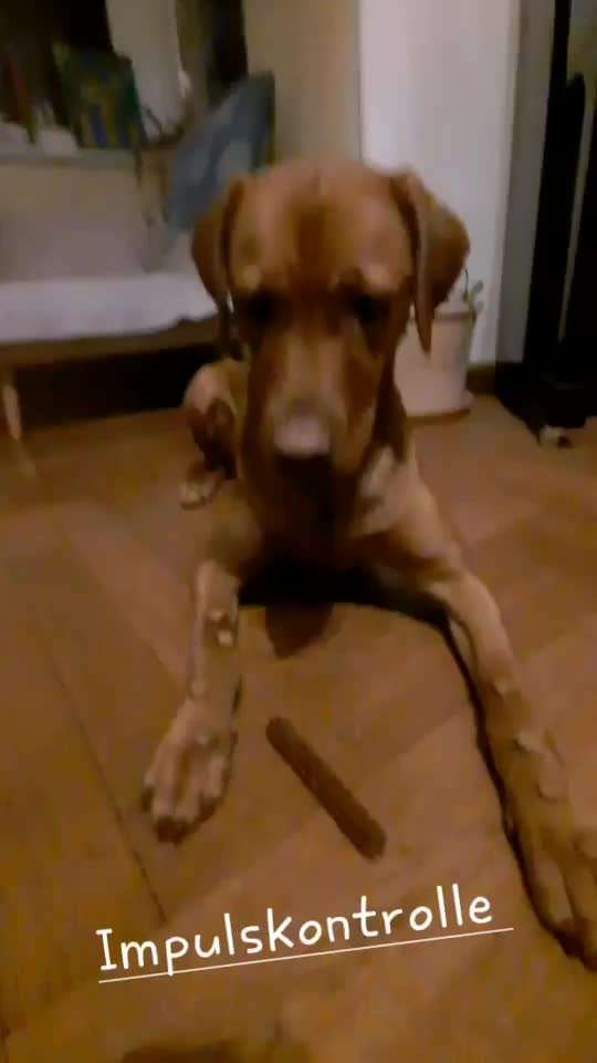 Trick Challenge ABC-Beitrag-Bild