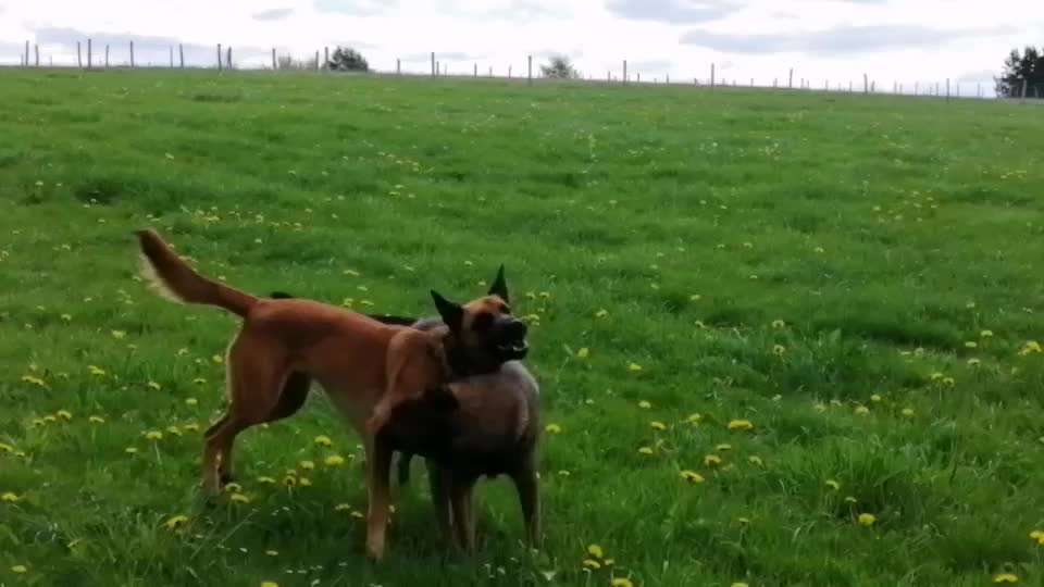 Spieltrieb ;)-Beitrag-Bild