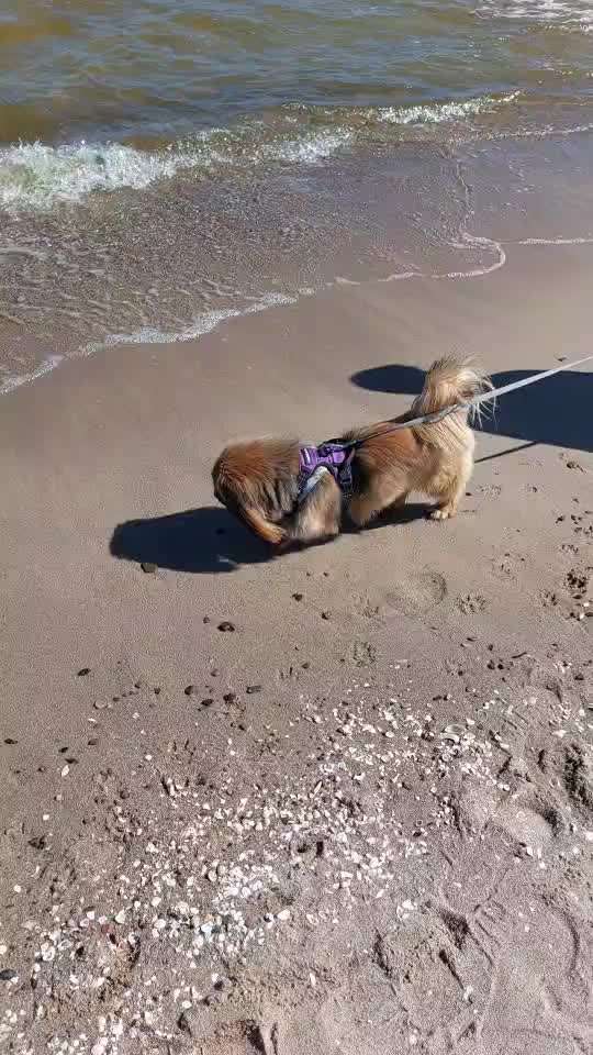 Fotowettbewerb Natur-Beitrag-Bild