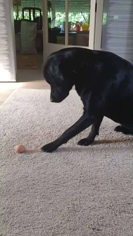 Video Challenge Nr. 4 - Lecker, Lecker-Beitrag-Bild