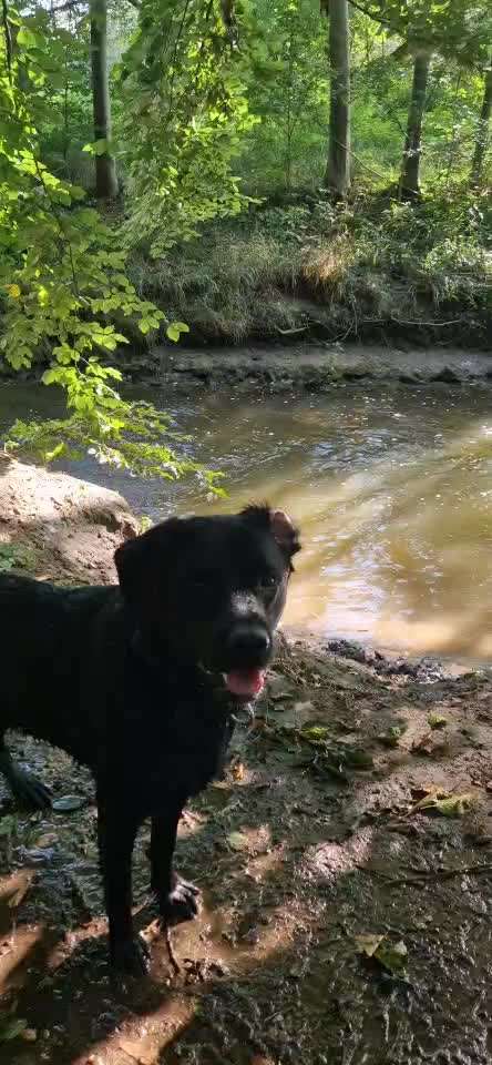 50. Video Challenge - Wasserscheu oder nicht-Beitrag-Bild