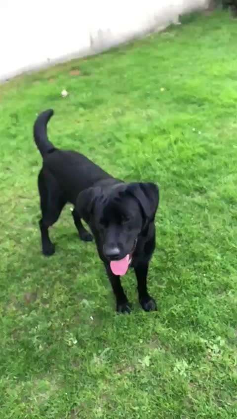 Zeitlupe-Beitrag-Bild