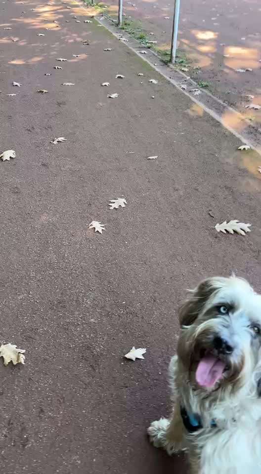 60. Impulskontrolle-Übung/Challenge:
(Spiel-) Pause-Beitrag-Bild