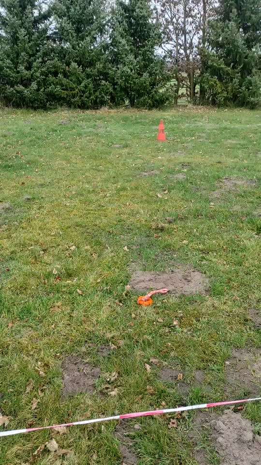 68. Tricktraining "Flyball"-Beitrag-Bild