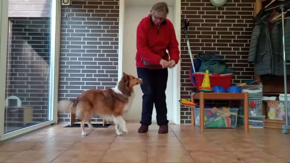 Trick Spiel - ich packe meinen 10. Koffer-Beitrag-Bild