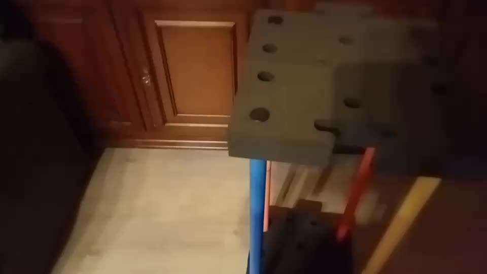 56. Gemeinsames Tricktraining : einein Gegenstand  ruckwärts umrunden-Beitrag-Bild