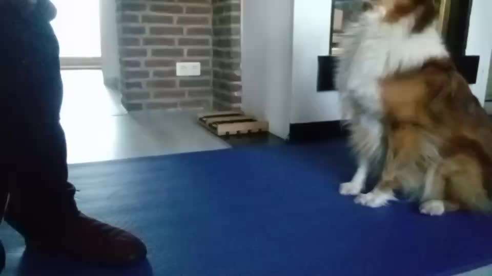 Trick Spiel - Koffer Packen - der 12.-Beitrag-Bild