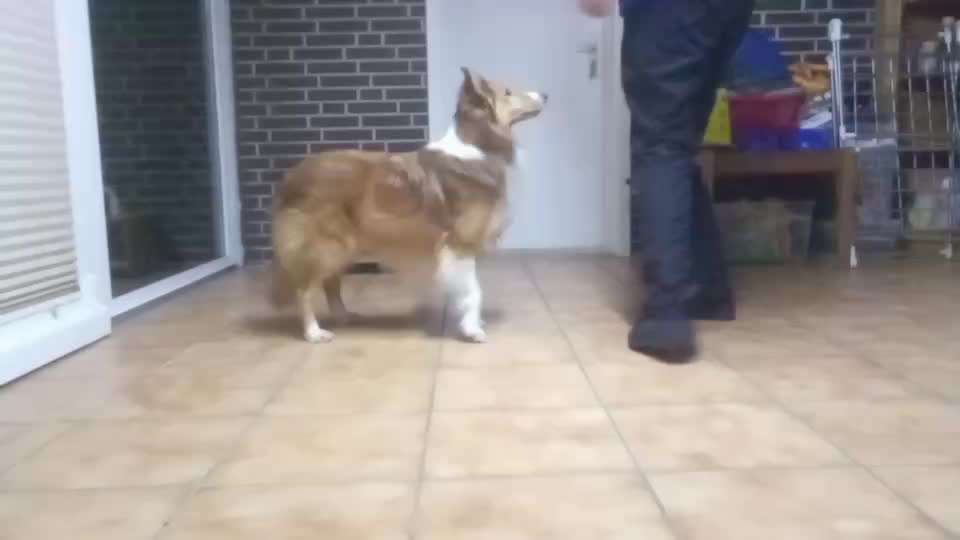 Koffer Packen: Spezial Weihnachtsedition-Beitrag-Bild