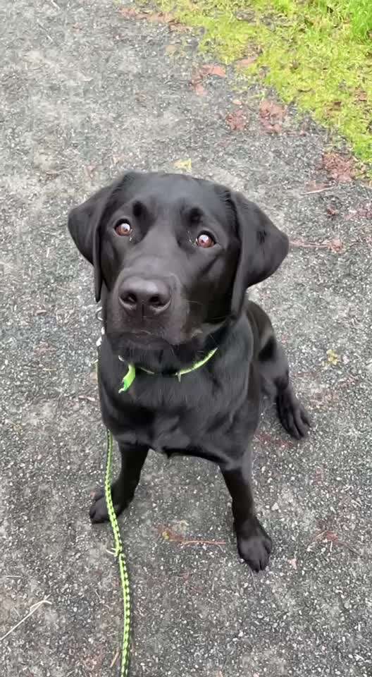 15. Video Challenge.  In SloMo die Welt erkunden!-Beitrag-Bild