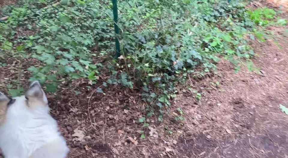 Was hat euch heute genervt?-Beitrag-Bild