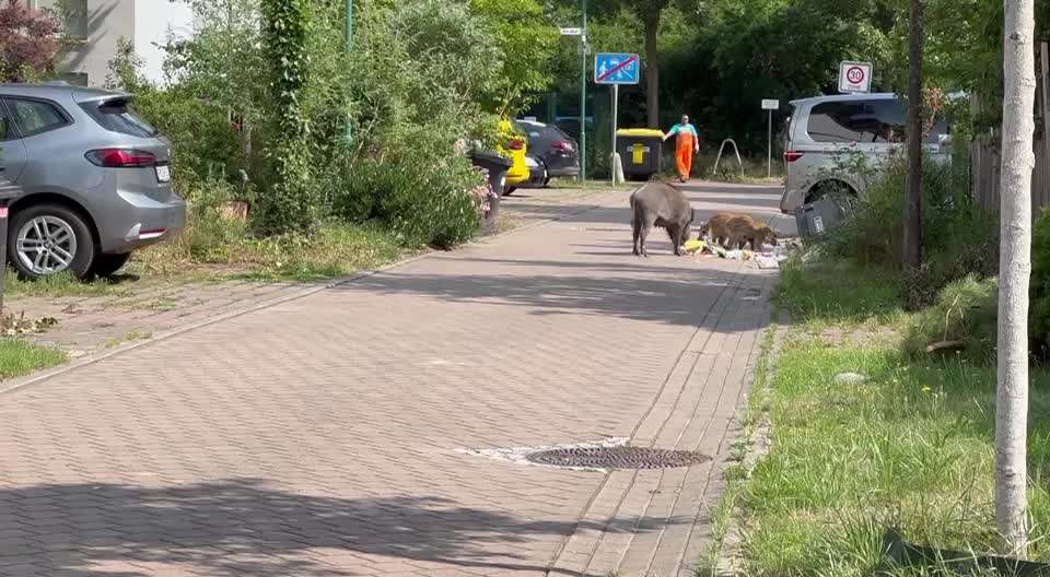 Was hat euch heute genervt?-Beitrag-Bild