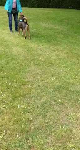 FUN AUFGABEN TOUR-Beitrag-Bild