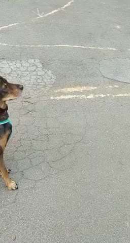 FUN AUFGABEN TOUR-Beitrag-Bild