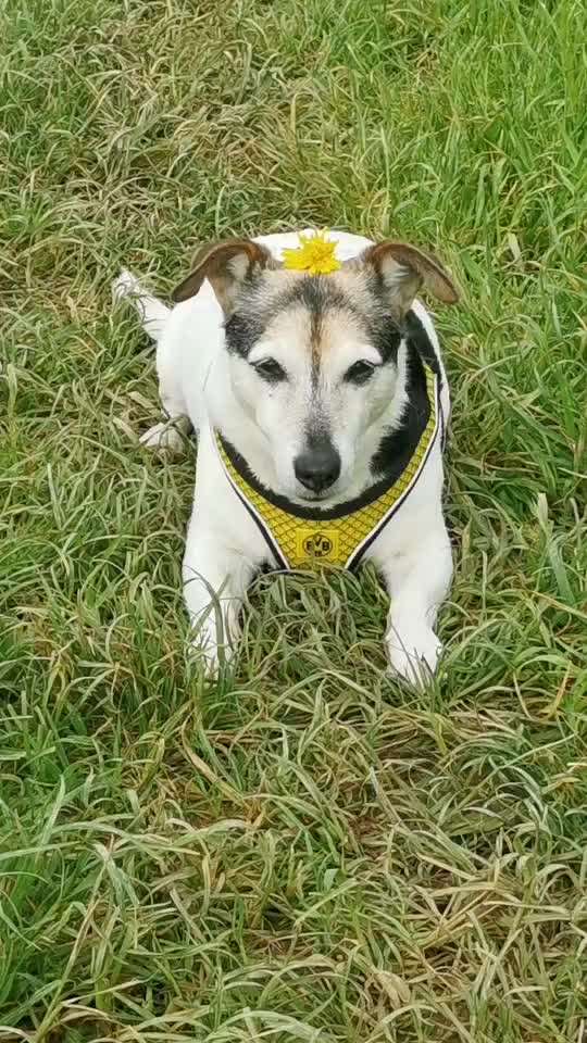 Fotowettbewerb Natur-Beitrag-Bild