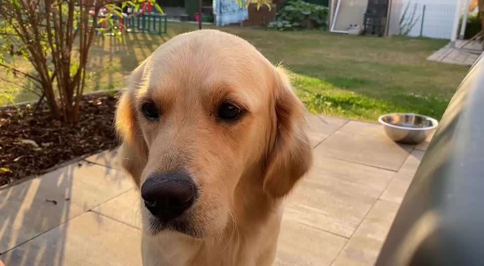 41. Handy Video Challenge-Beitrag-Bild