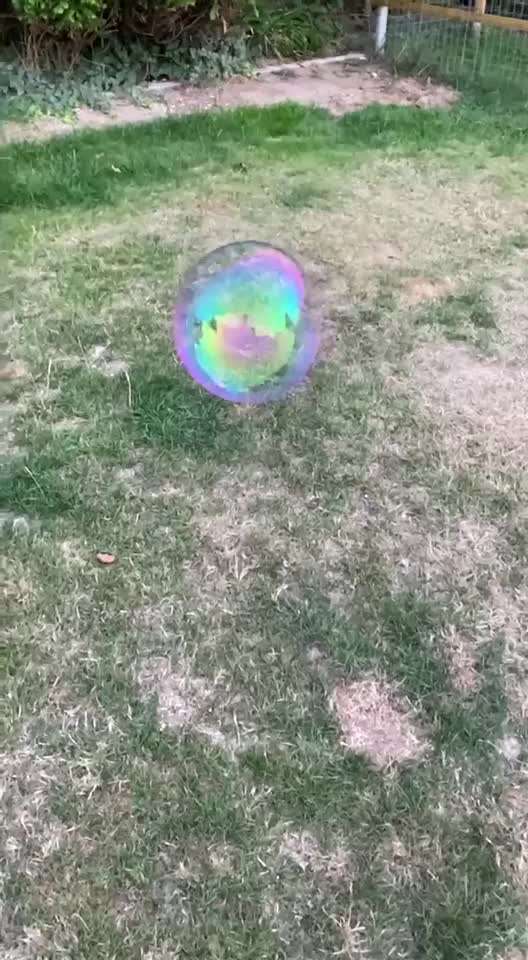 15. Video Challenge.  In SloMo die Welt erkunden!-Beitrag-Bild