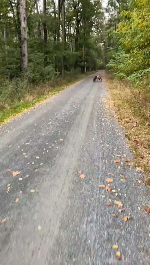 Analyse & Interpretation von Verhalten-Beitrag-Bild