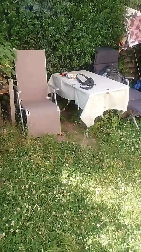 54. Impulskontrollchallenge  PAUSE MACHEN !-Beitrag-Bild