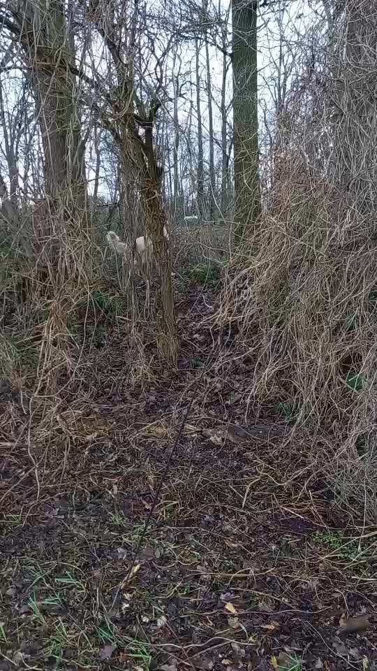 Trick Challenge ABC-Beitrag-Bild