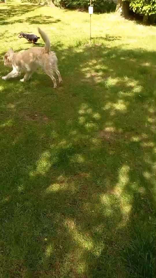 Handyvideochallenge Nr. 26 Gross und Klein-Beitrag-Bild